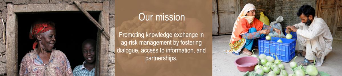 About FARMD, men water crops, farmers in rice paddy